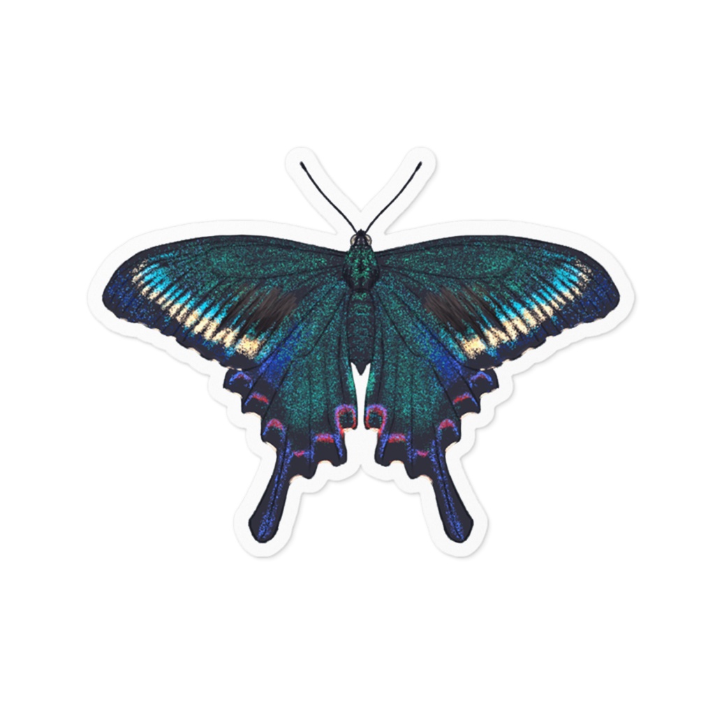 ステッカー　ミヤマカラスアゲハ春型　オス