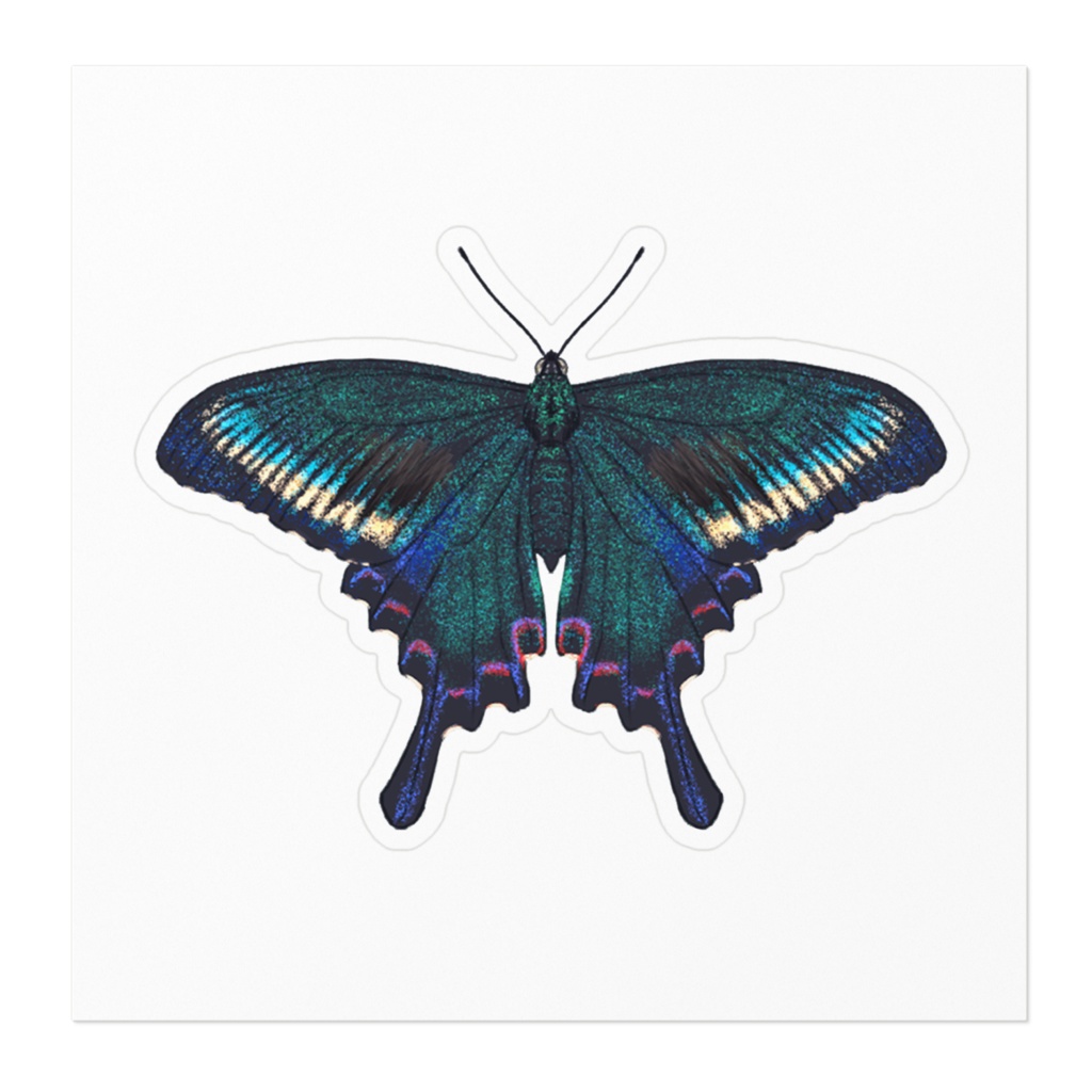 ステッカー ミヤマカラスアゲハ春型 オス