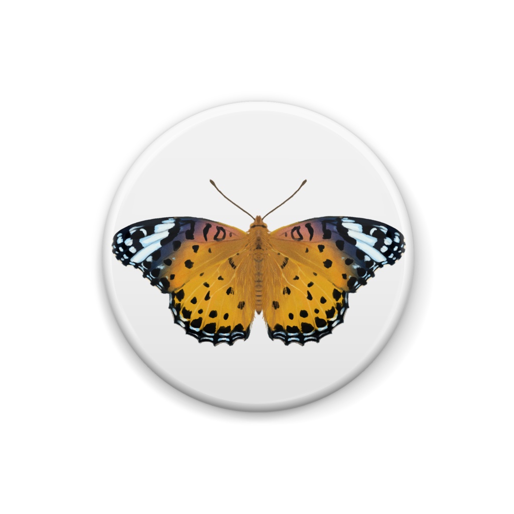 缶バッジ ツマグロヒョウモンメス