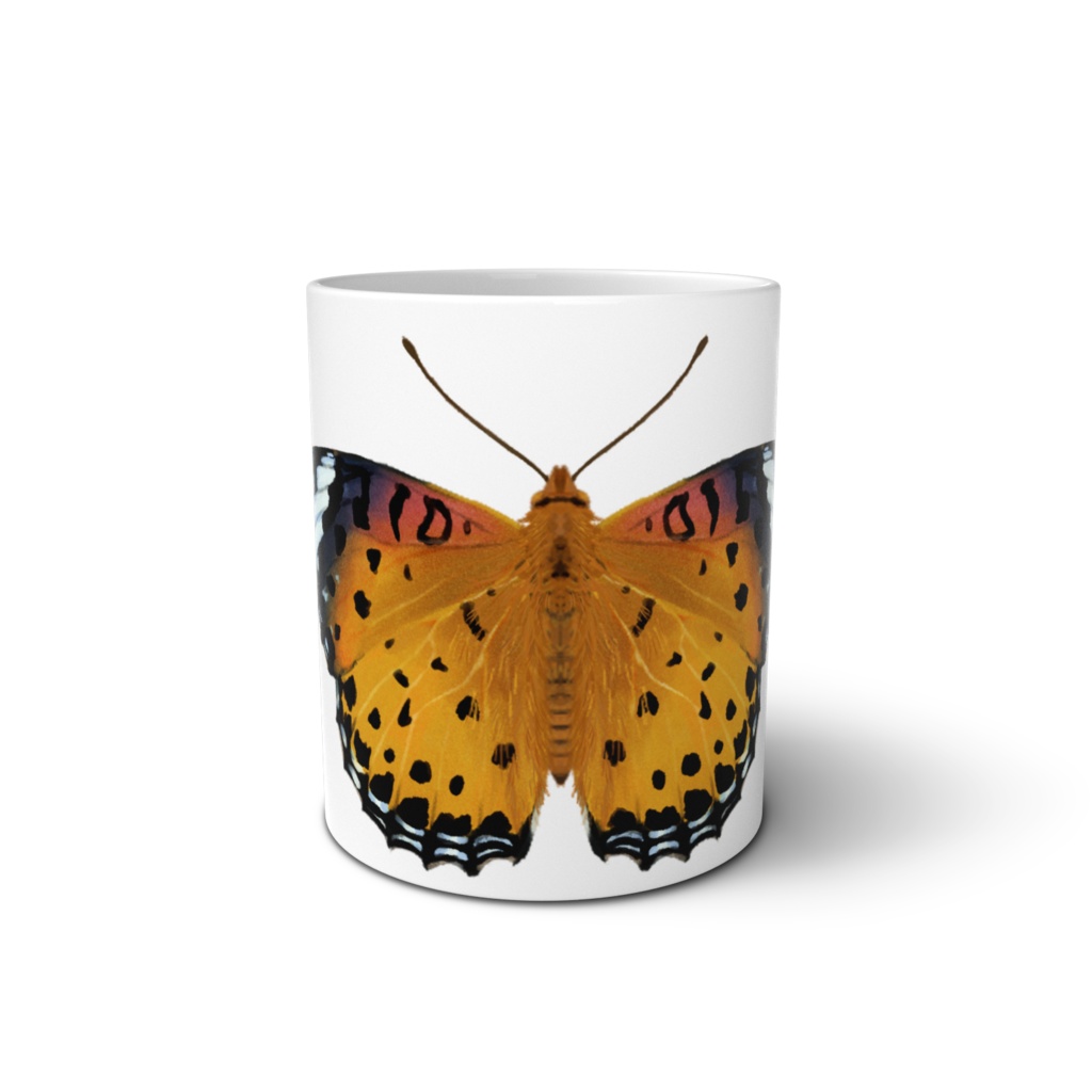 マグカップ ツマグロヒョウモンメス