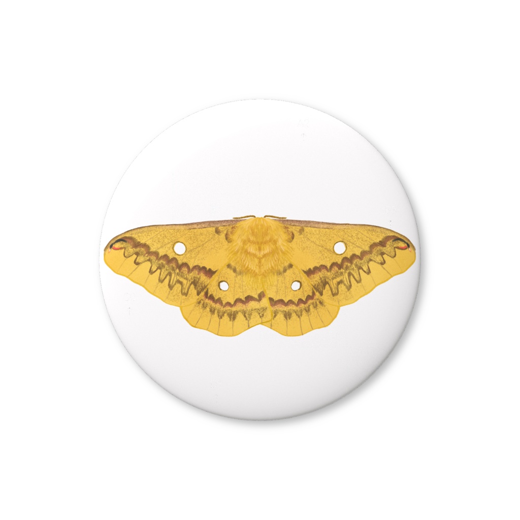 缶バッジ　ウスタビガ