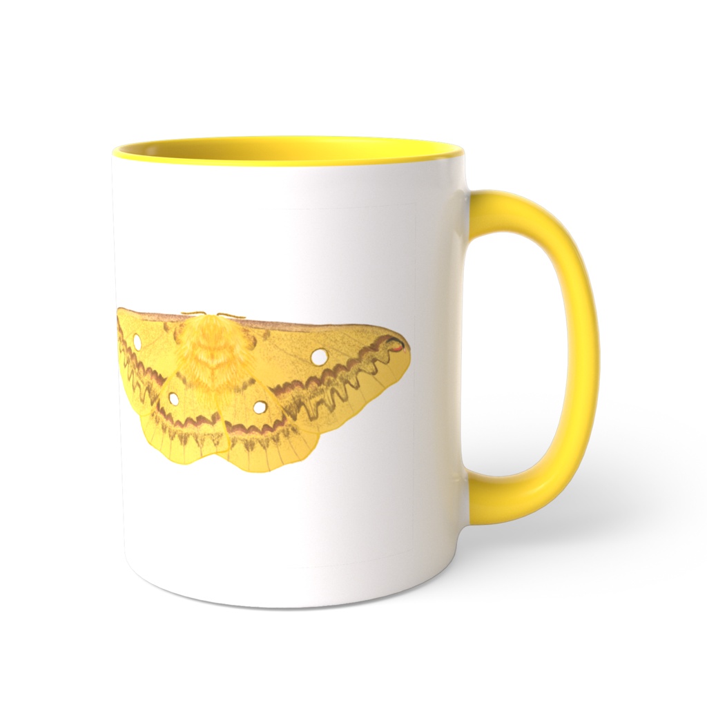 マグカップ 黄色 ウスタビガ