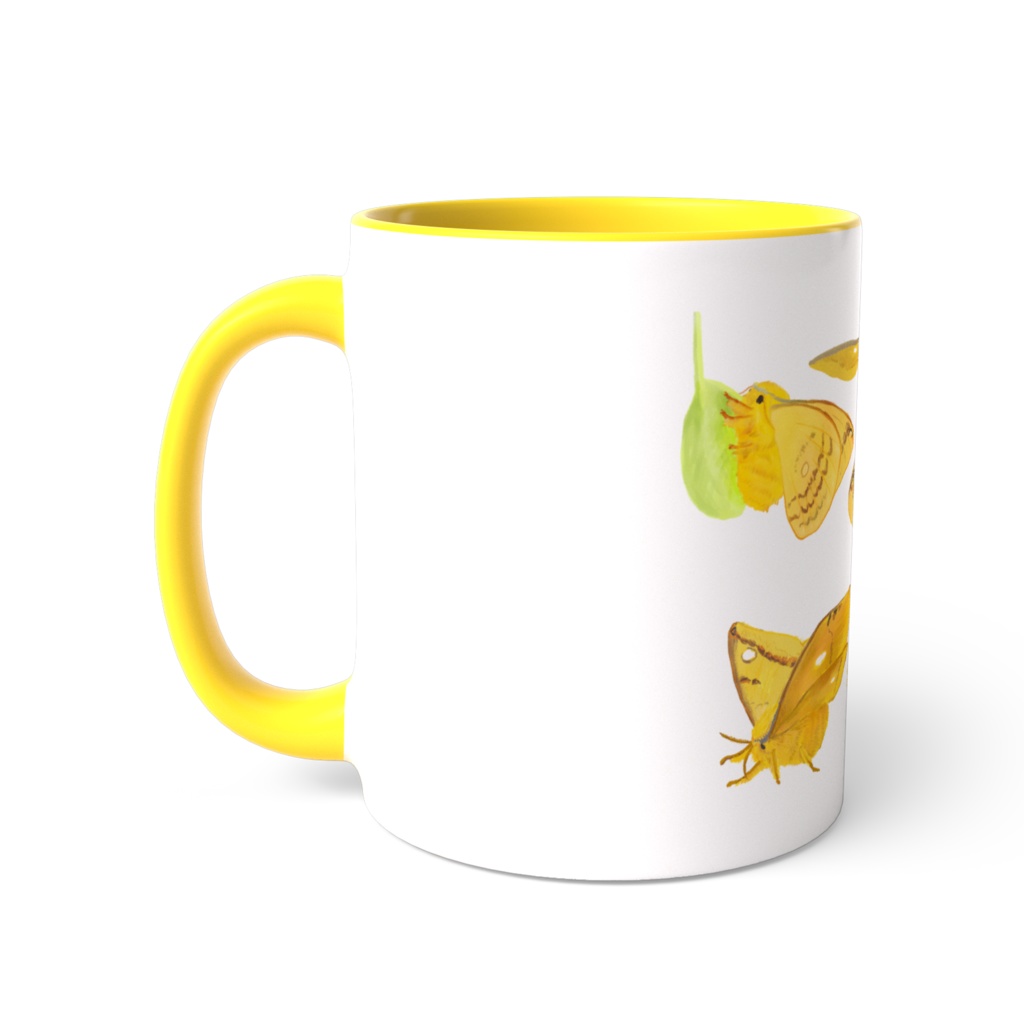 カラーマグカップ ウスタビガがいっぱい