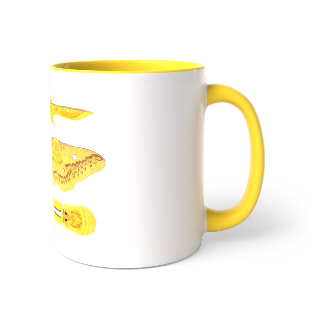 カラーマグカップ ウスタビガがいっぱい