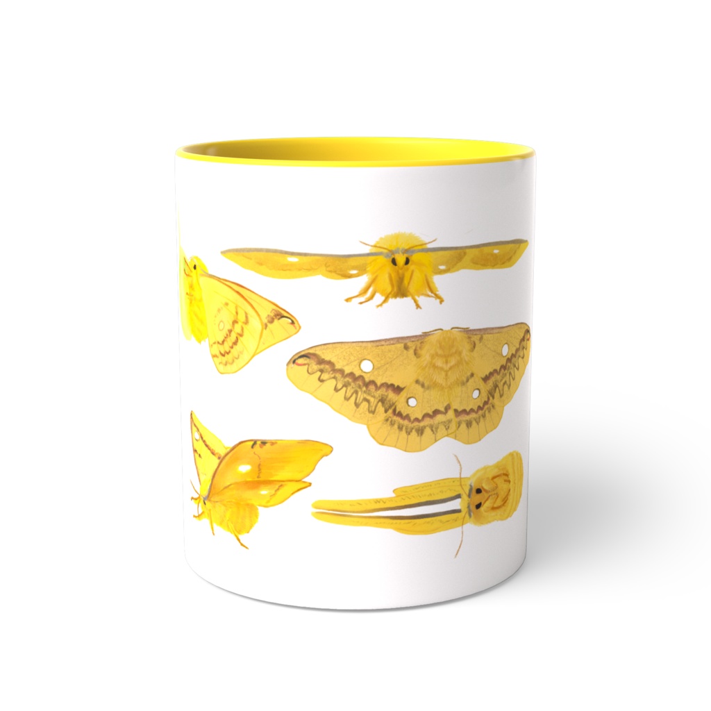 カラーマグカップ ウスタビガがいっぱい