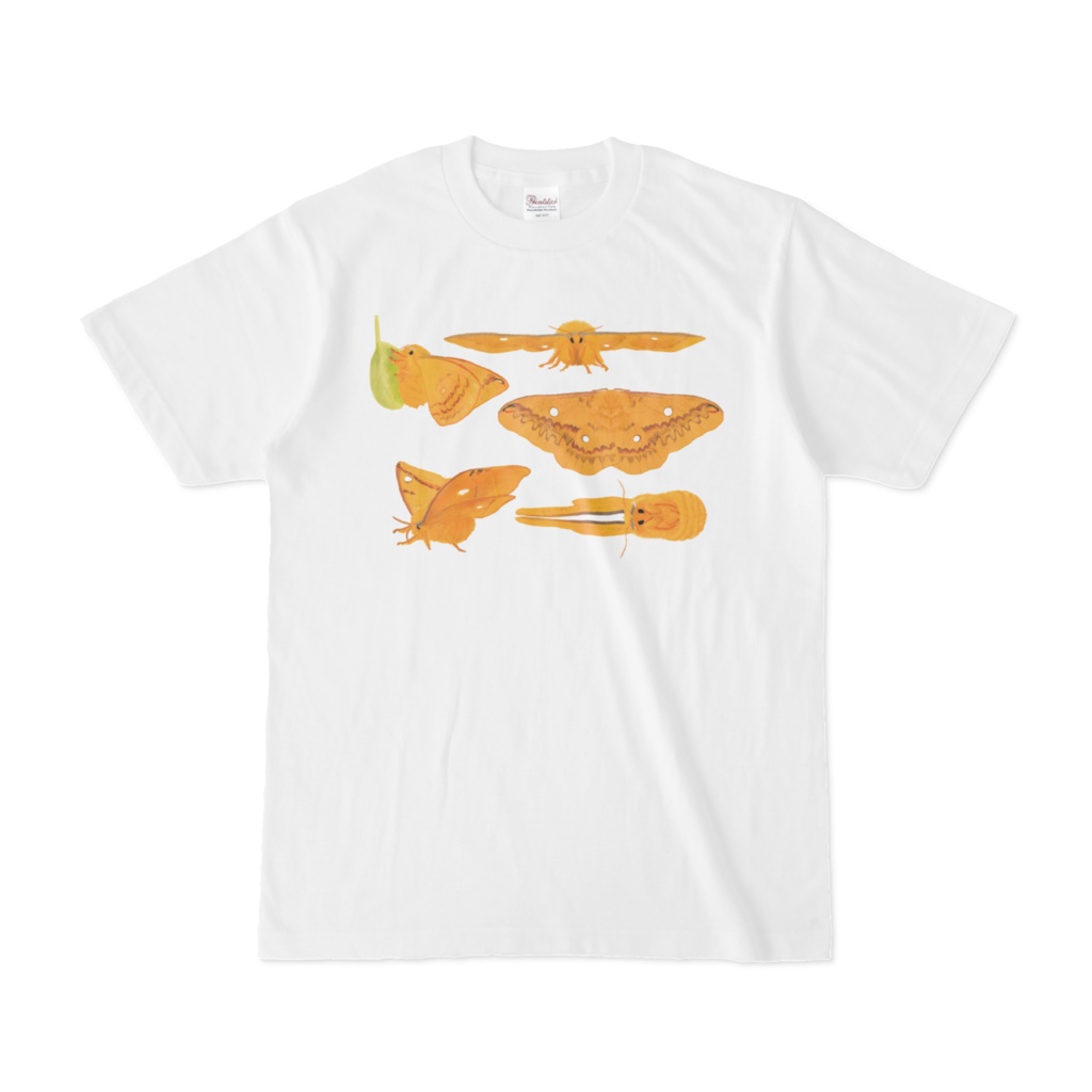 Tシャツ　ウスタビガがいっぱい