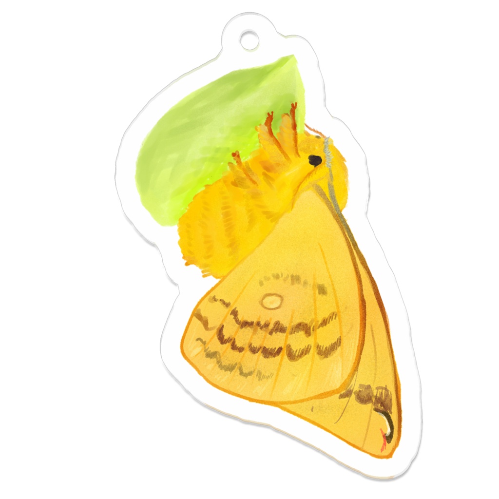 アクリルキーホルダーウスタビガ　まゆといっしょ