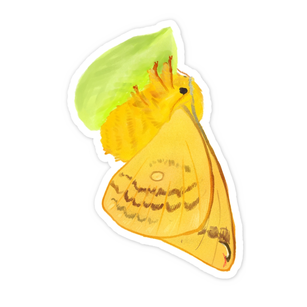 スマホステッカー ウスタビガ まゆといっしょ