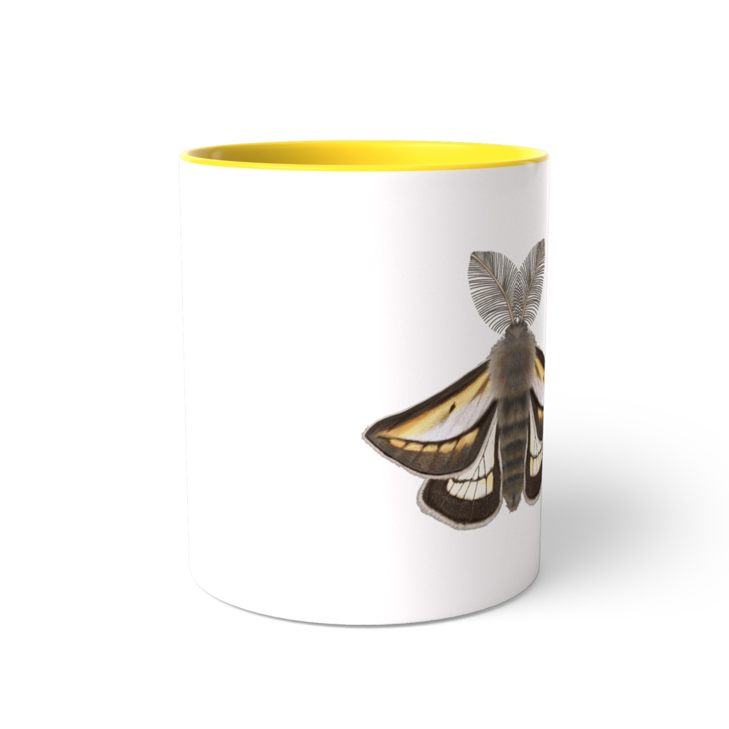 マグカップ フチグロトゲエダシャク 黄