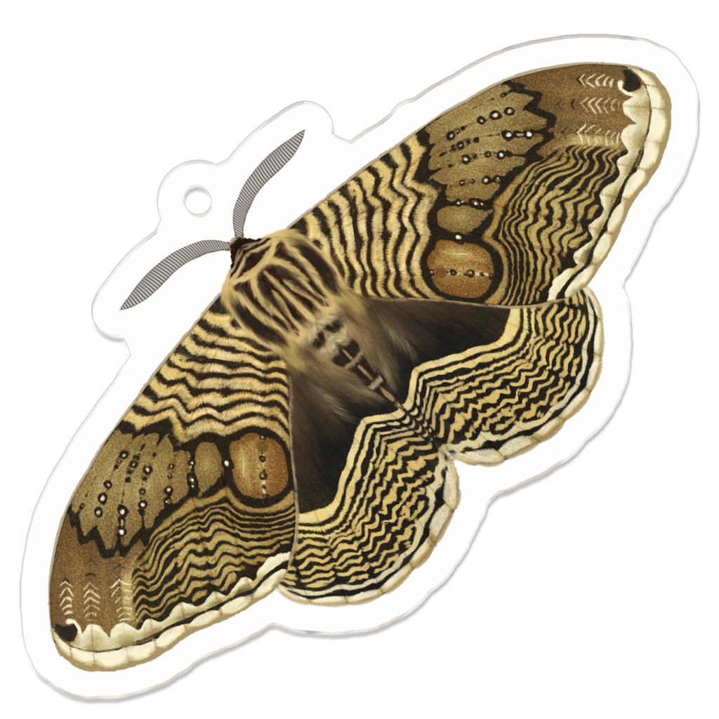 アクリルキーホルダー　イボタガ