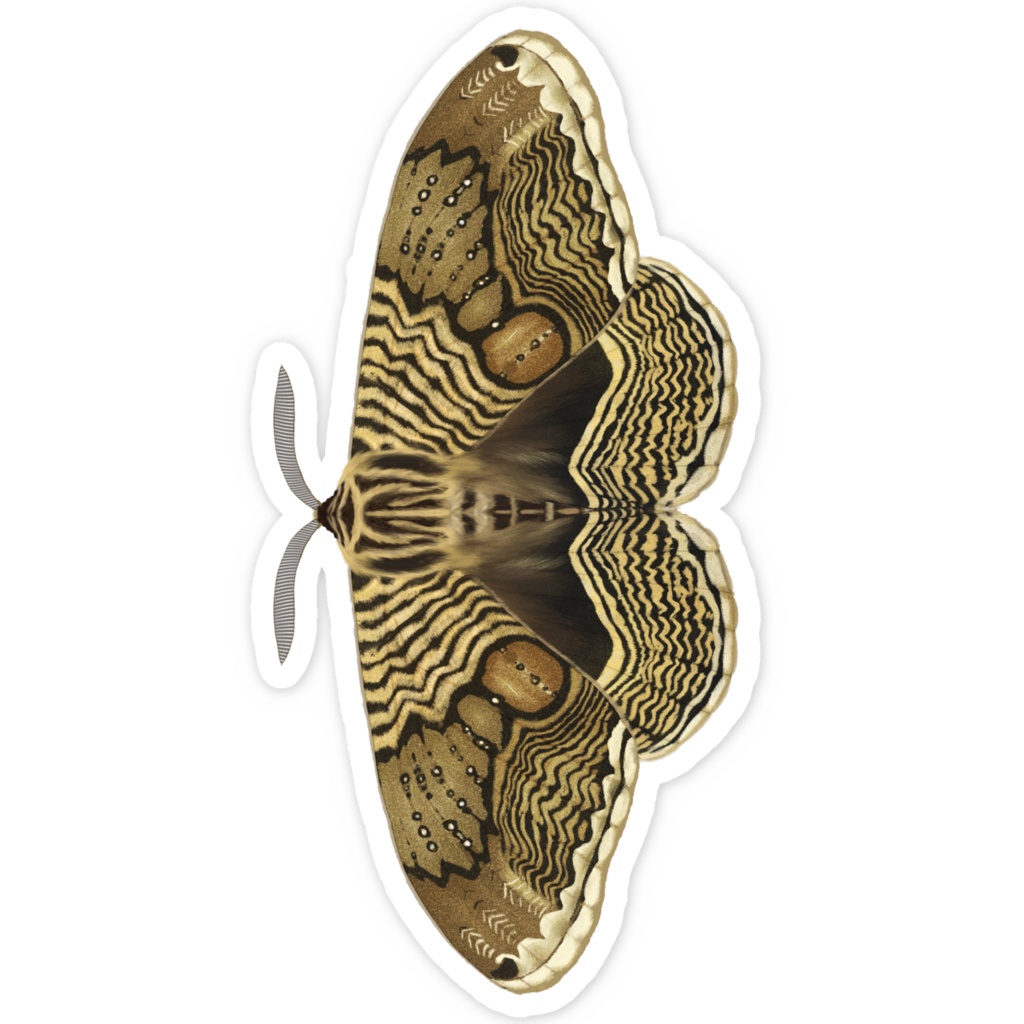 イボタガ ステッカー