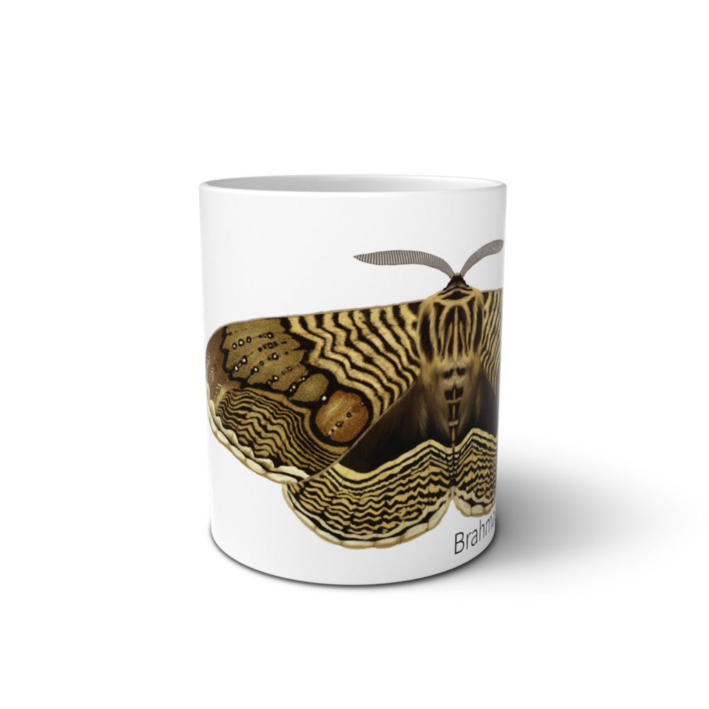 マグカップ イボタガ