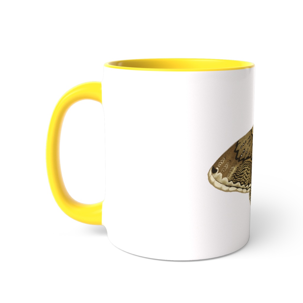 イボタガ マグカップ 黄色、黒