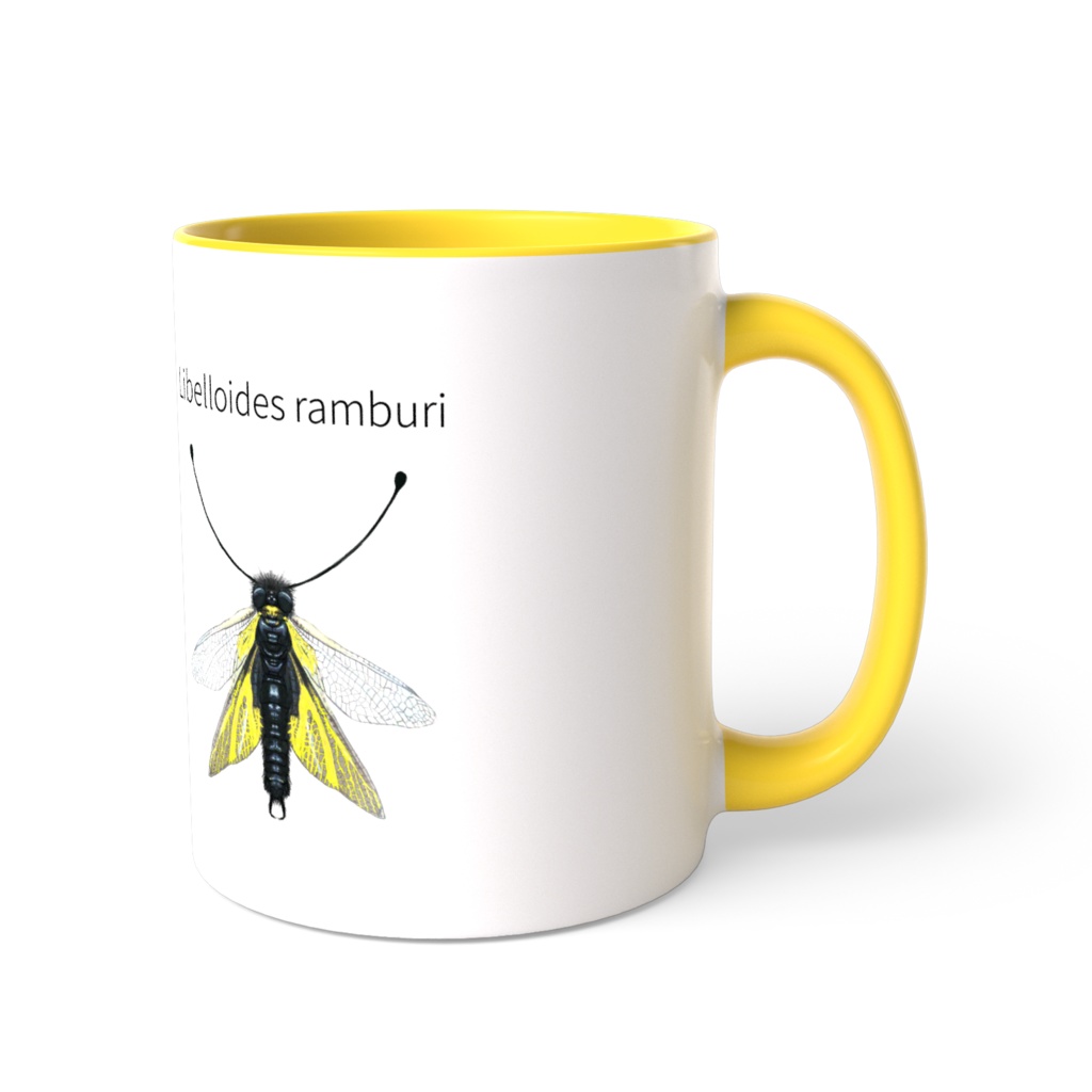 カラーマグカップ　キバネツノトンボ　黄色