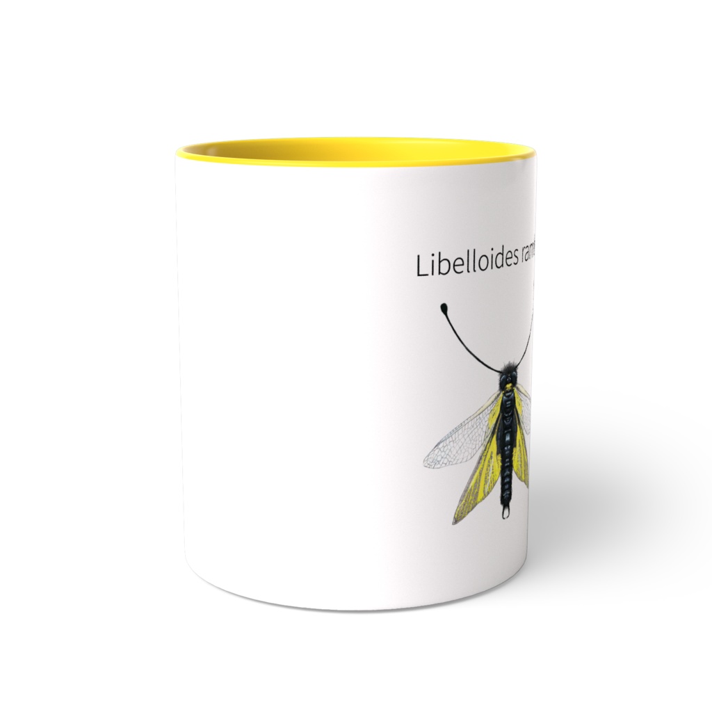 カラーマグカップ キバネツノトンボ 黄色