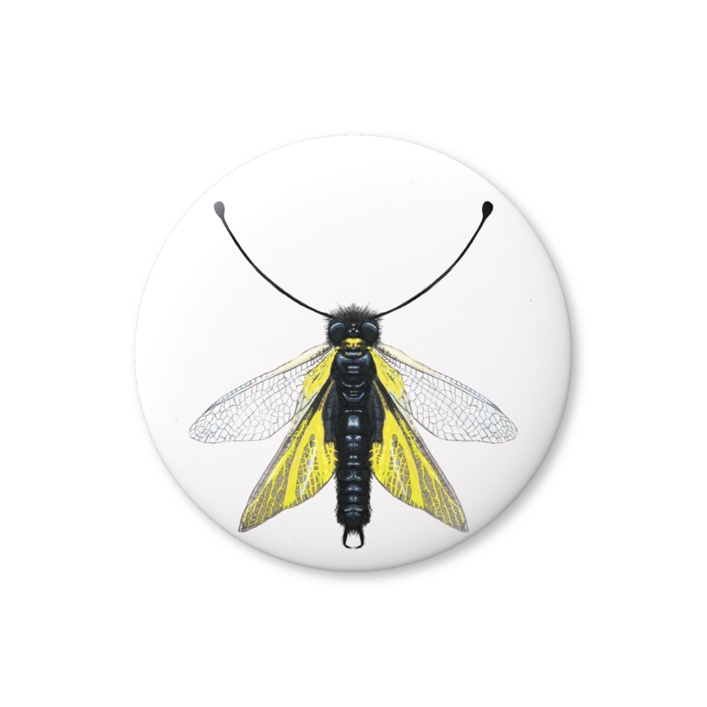 缶バッジ　キバネツノトンボ