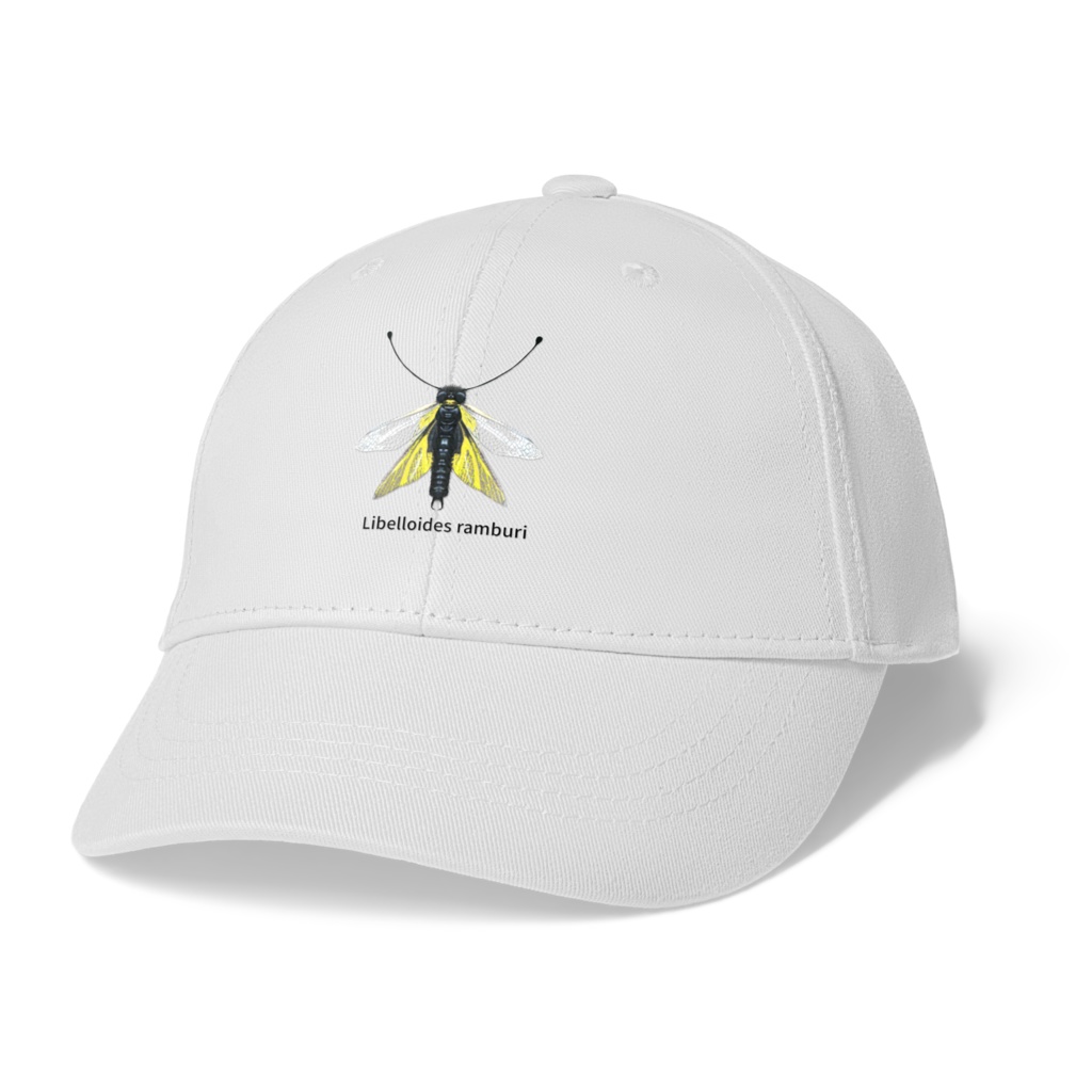 キャップ　キバネツノトンボ