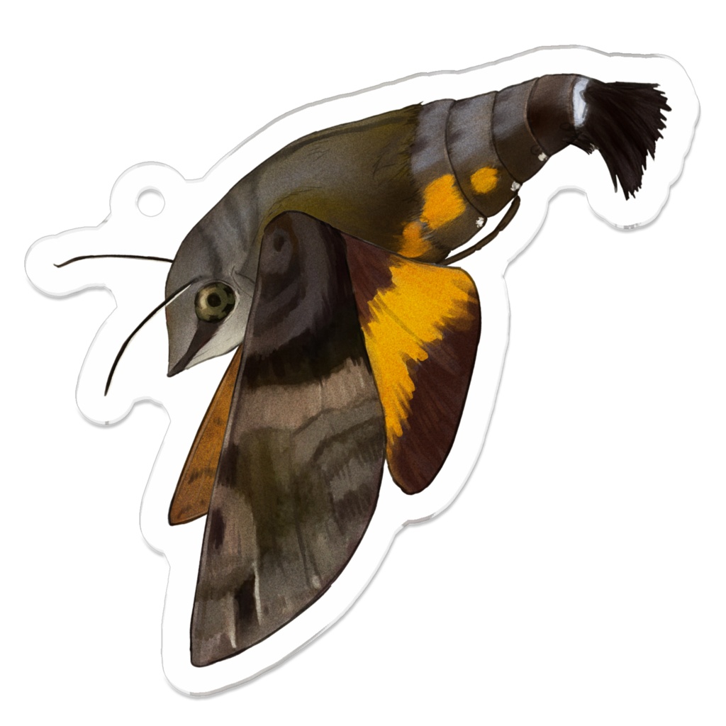 アクリルキーホルダー　ホシホウジャク