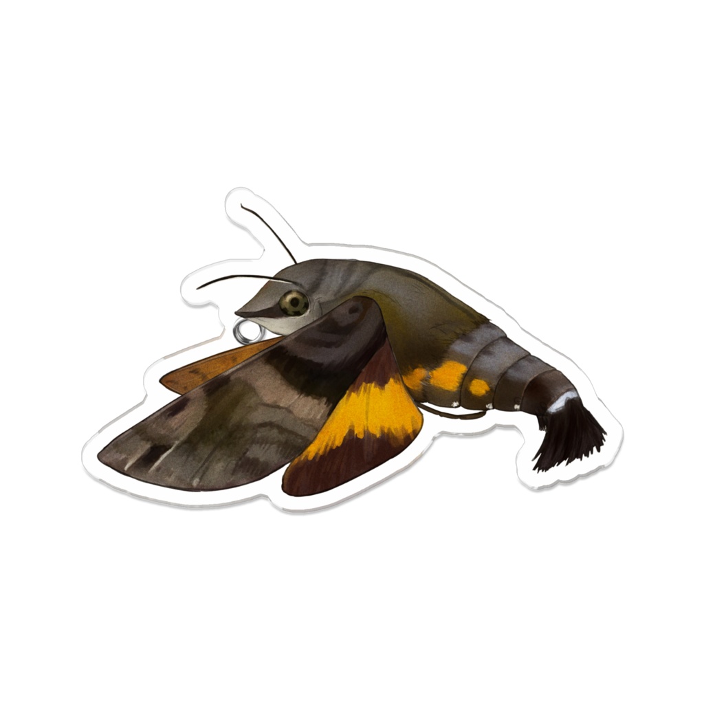 アクリルバッジ ホシホウジャク