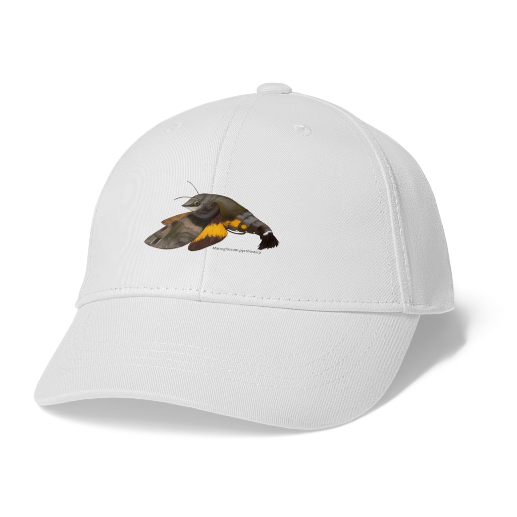 キャップ　ホシホウジャク