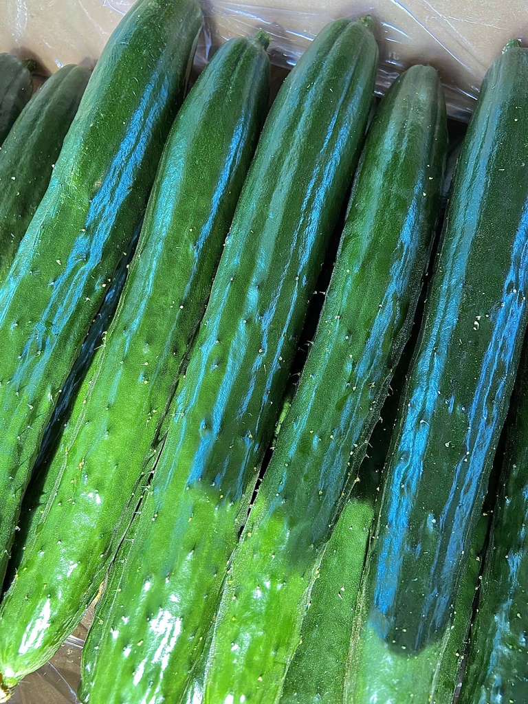 八三月きうりデビュー記念グッズ『新鮮!やみつききゅうりセット』