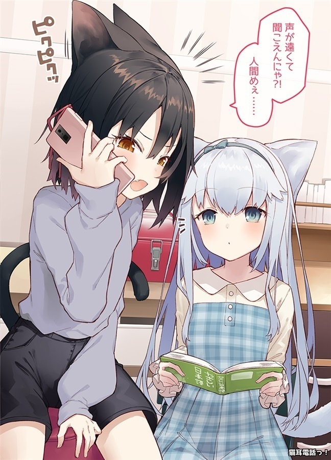 フォ~リンキャッツ