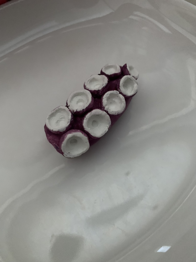 おもしろ茹でタコぶつ切り