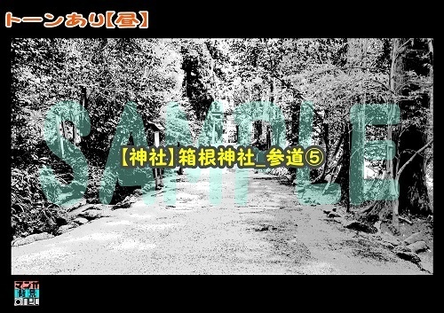 【マンガ背景用素材】【神社】箱根神社_参道⑤【夜/昼/トーンなしセット】【3変化対応】【zip転送で中身はclipファィル】