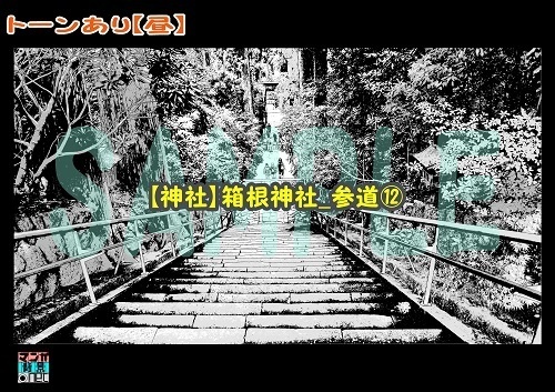 【マンガ背景用素材】【神社】箱根神社_参道⑫【夜/昼/トーンなしセット】【3変化対応】【zip転送で中身はclipファィル】