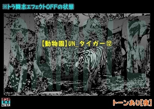 【マンガ背景用素材】【動物園】UN_タイガー⑫【夜/昼/トーンなしセット】【3変化対応】【zip転送で中身はclipファィル】