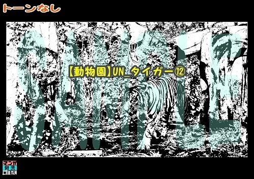 【マンガ背景用素材】【動物園】UN_タイガー⑫【夜/昼/トーンなしセット】【3変化対応】【zip転送で中身はclipファィル】