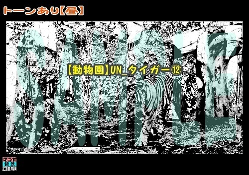 【マンガ背景用素材】【動物園】UN_タイガー⑫【夜/昼/トーンなしセット】【3変化対応】【zip転送で中身はclipファィル】