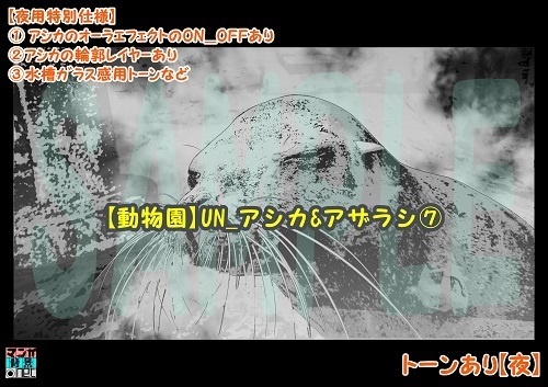 【マンガ背景用素材】【動物園】UN_アシカ&アザラシ⑦【夜/昼/トーンなしセット】【3変化対応】【zip転送で中身はclipファィル】