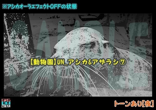 【マンガ背景用素材】【動物園】UN_アシカ&アザラシ⑦【夜/昼/トーンなしセット】【3変化対応】【zip転送で中身はclipファィル】