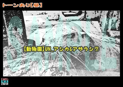 【マンガ背景用素材】【動物園】UN_アシカ&アザラシ⑦【夜/昼/トーンなしセット】【3変化対応】【zip転送で中身はclipファィル】