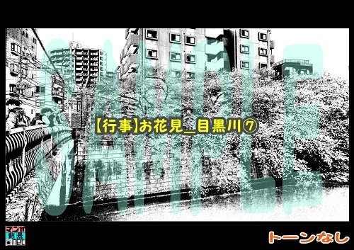 【マンガ背景用素材】【行事】お花見_目黒川⑦【夜/昼/トーンなしセット】【3変化対応】【zip転送で中身はclipファィル】