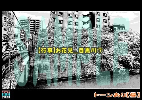 【マンガ背景用素材】【行事】お花見_目黒川⑦【夜/昼/トーンなしセット】【3変化対応】【zip転送で中身はclipファィル】