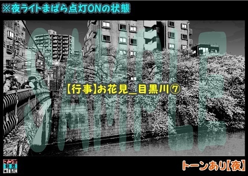 【マンガ背景用素材】【行事】お花見_目黒川⑦【夜/昼/トーンなしセット】【3変化対応】【zip転送で中身はclipファィル】
