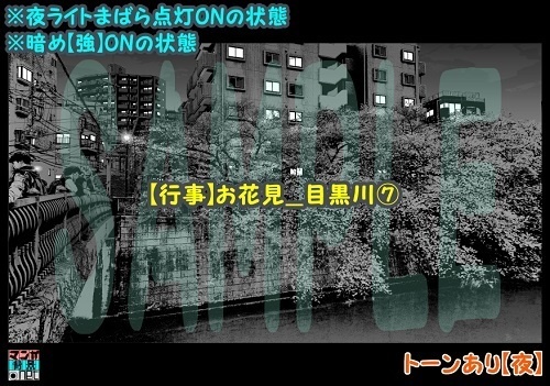 【マンガ背景用素材】【行事】お花見_目黒川⑦【夜/昼/トーンなしセット】【3変化対応】【zip転送で中身はclipファィル】