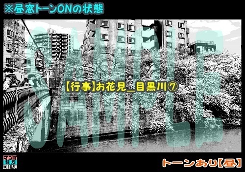 【マンガ背景用素材】【行事】お花見_目黒川⑦【夜/昼/トーンなしセット】【3変化対応】【zip転送で中身はclipファィル】