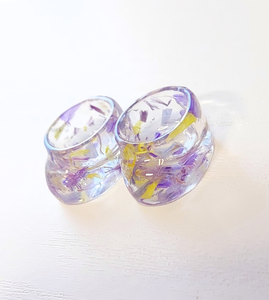 ドライフラワーのぬい靴