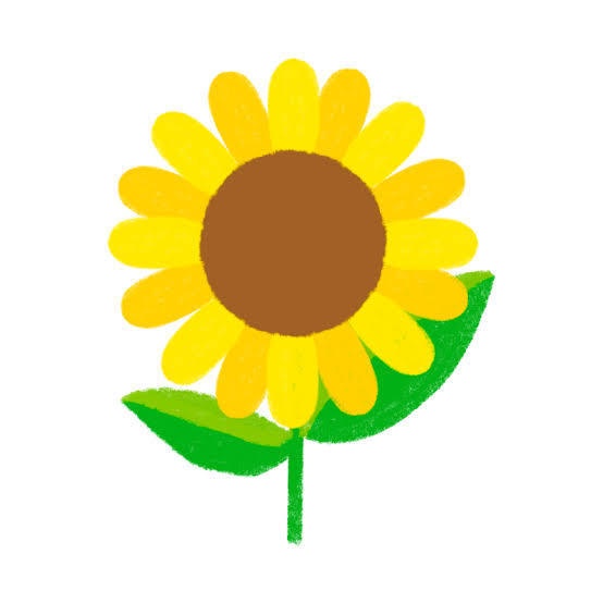 ひまわり畑🌻