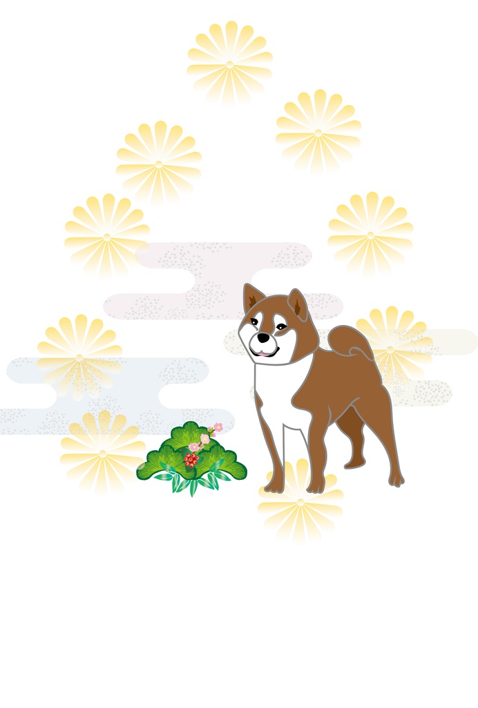 柴犬と菊の花模様の和風の郵便ハガキ