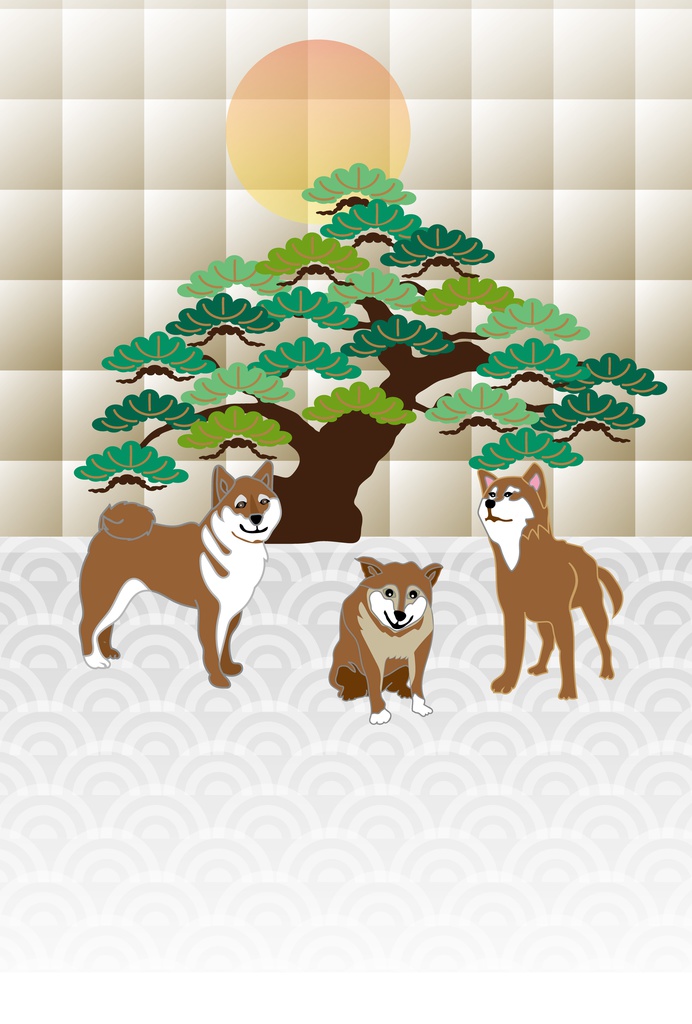 三匹の柴犬と松の木の和風ポストカード