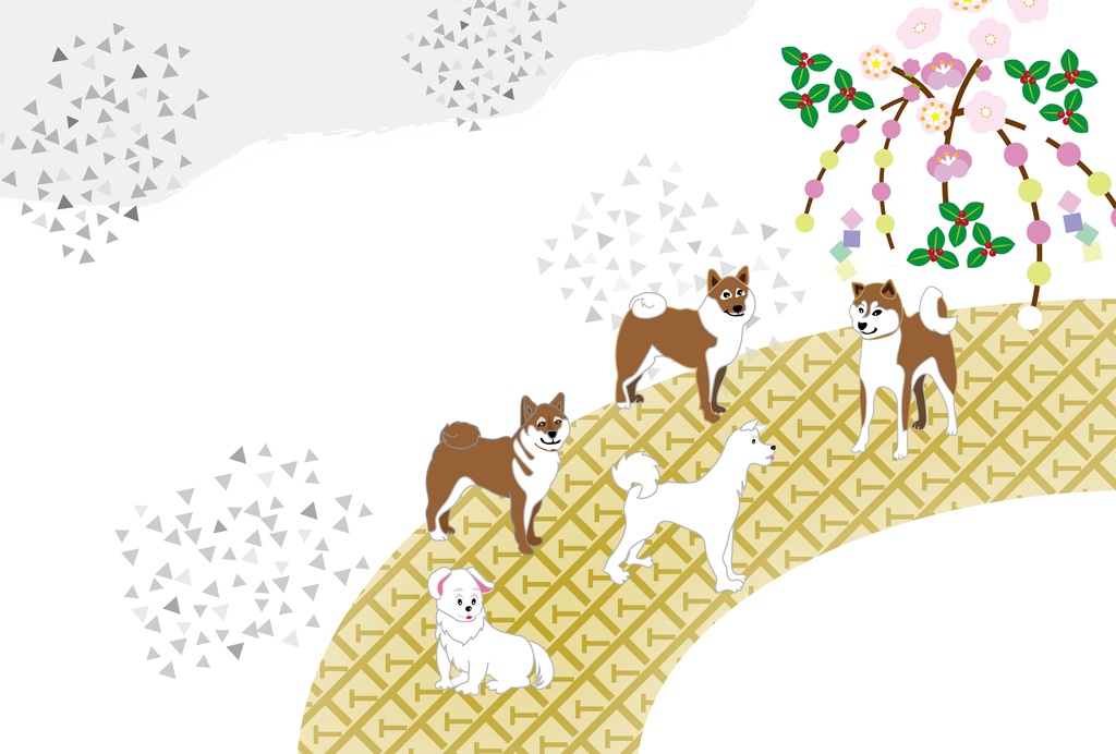 柴犬のイラストグリーティングカード