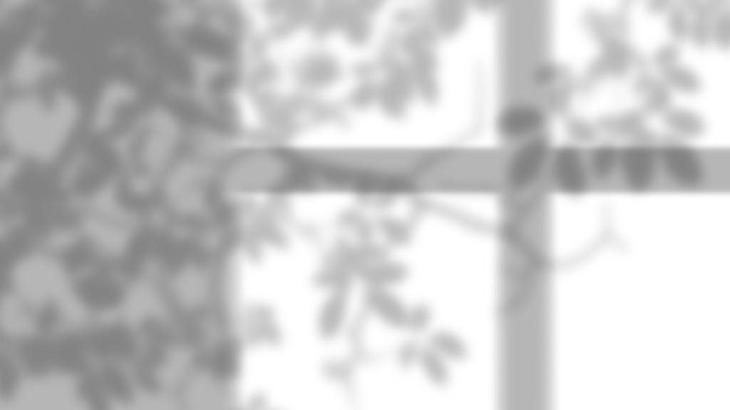 Add Shadows Compilation