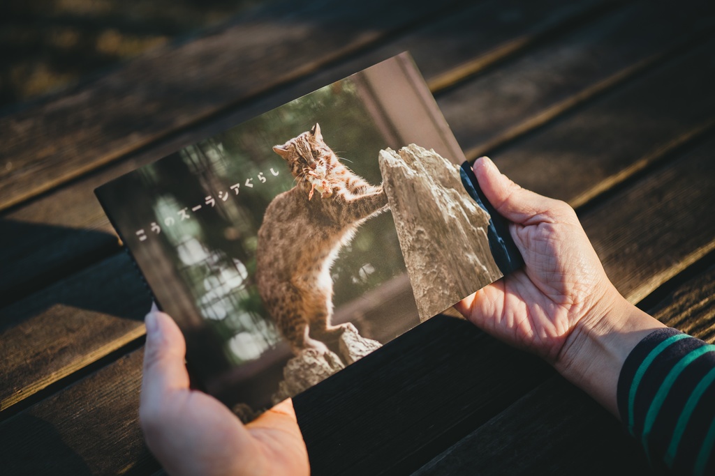 ヤマネコ写真集「こうのズーラシアぐらし」