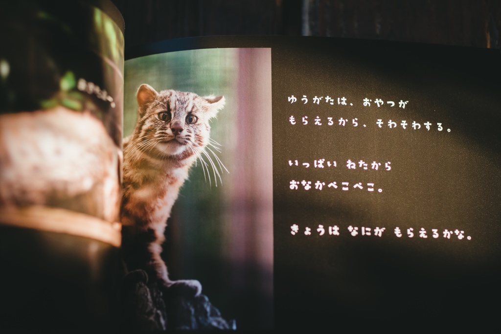 ヤマネコ写真集「こうのズーラシアぐらし」