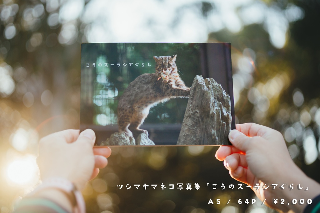 ヤマネコ写真集「こうのズーラシアぐらし」