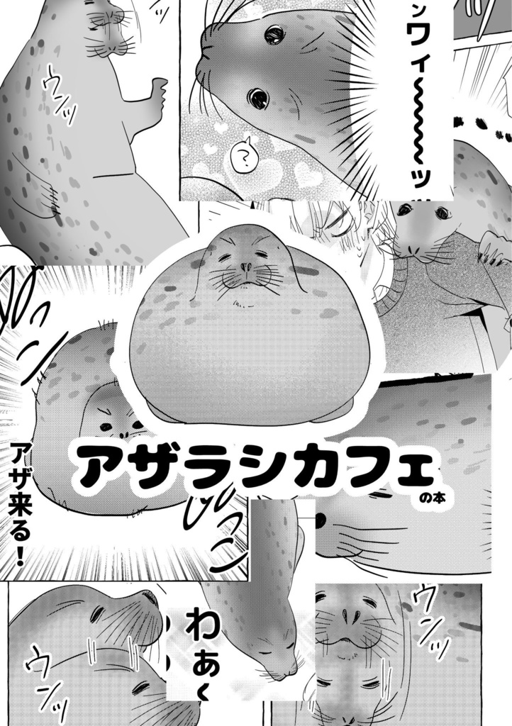 アザラシカフェの本